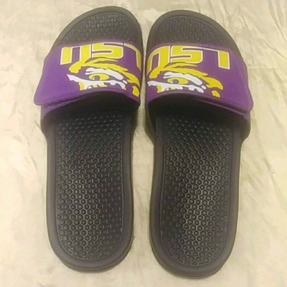 LSU Slides - Picture 3 of 5